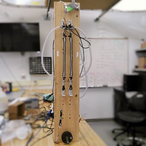 Test fixture set up for testing